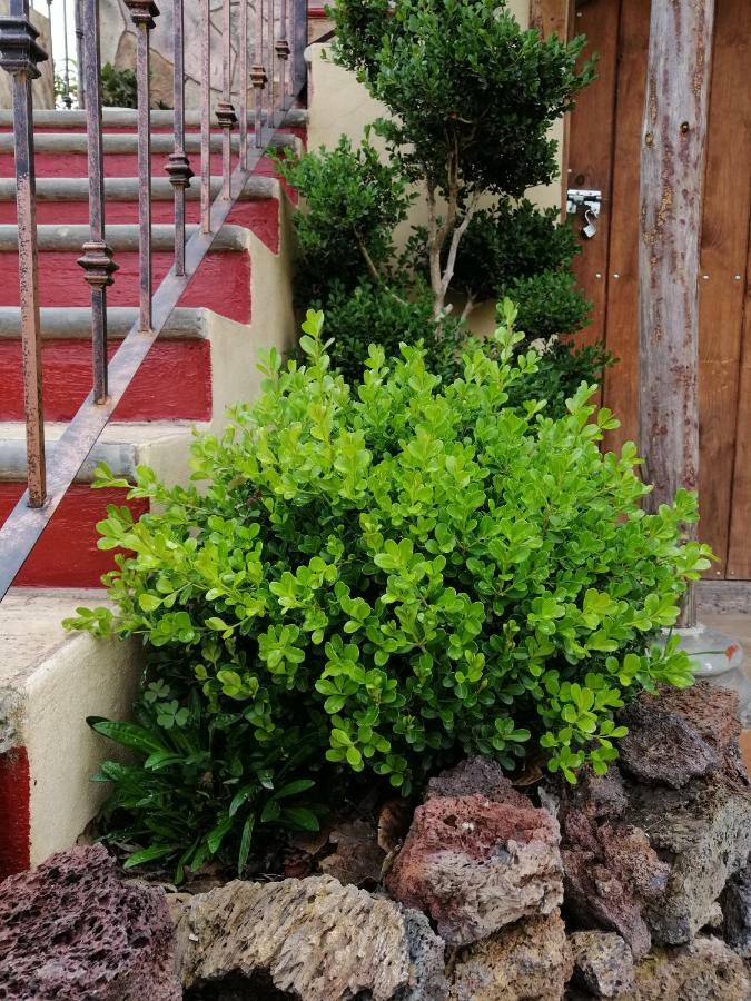 Hotel Posada El Camino Chignahuapan Dış mekan fotoğraf